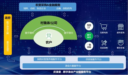 渔博士沈杰 打破物联网技术与应用之墙，解码数字新浙商no.69